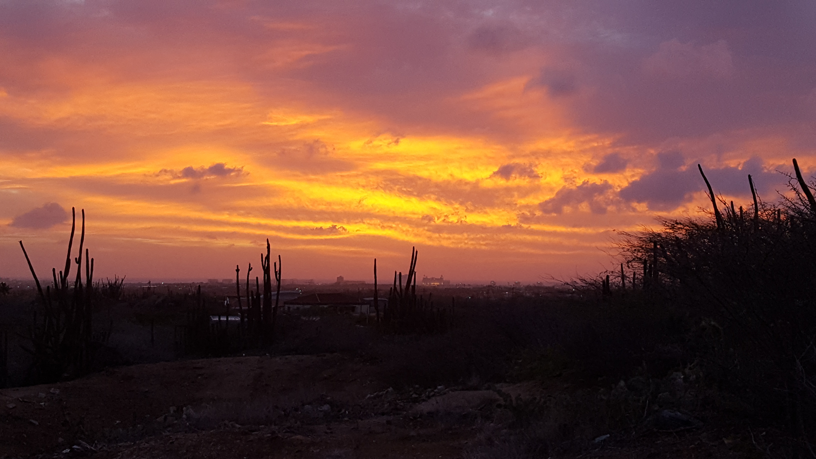 Het vrije leven deel 2: Dagelijks leven op Aruba