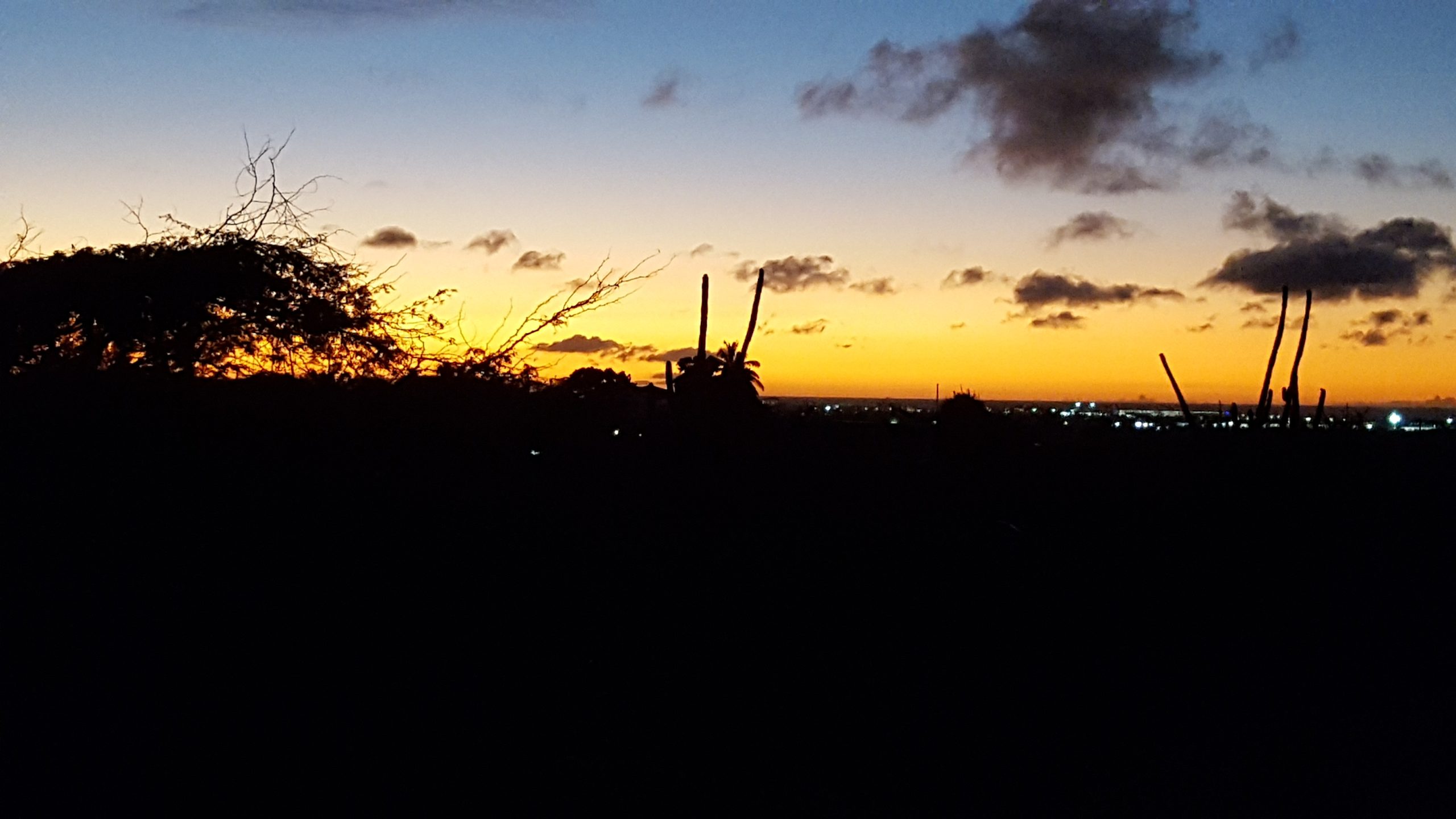 Het vrije leven(6): Hoogseizoen op Aruba
